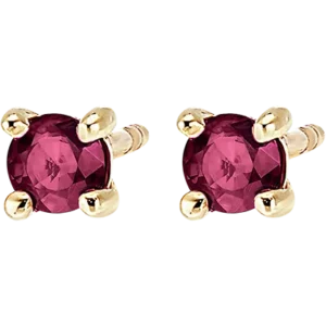 Goldene Ohrstecker mit Rubin